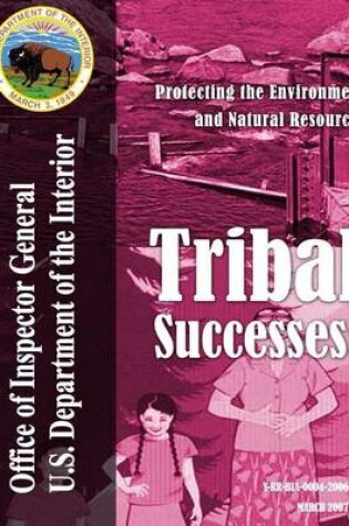 Cover of Tribal Successes