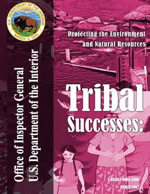 Book cover for Tribal Successes