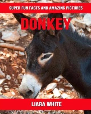 Book cover for Donkey