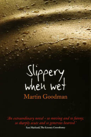 Cover of Slippery When Wet
