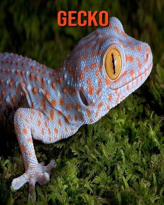 Book cover for Gecko