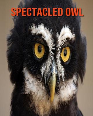Book cover for Spectacled Owl