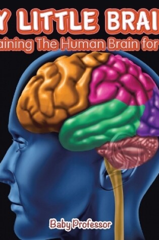 Cover of My Little Brain! - Explaining The Human Brain for Kids