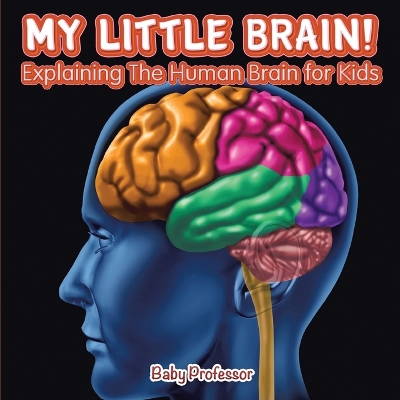 Book cover for My Little Brain! - Explaining The Human Brain for Kids