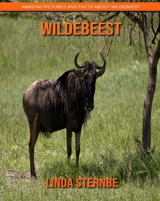 Book cover for Wildebeest