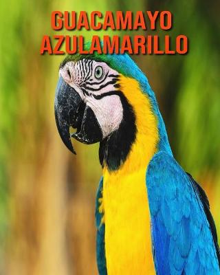 Book cover for Guacamayo azulamarillo