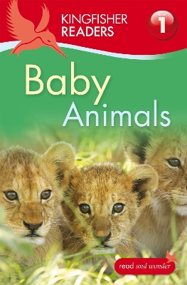 Book cover for Kingfisher Readers: Baby Animals (Level 1: Beginning to Read)