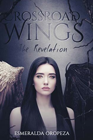 Cover of Crossroad Wings