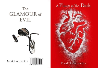 Book cover for A Place in the Dark/ The Glamour of Evil