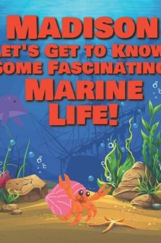 Cover of Madison Let's Get to Know Some Fascinating Marine Life!