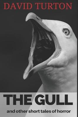 Book cover for The Gull