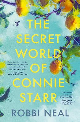 Book cover for The Secret World of Connie Starr