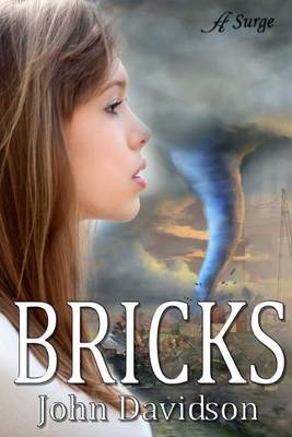 Book cover for Bricks