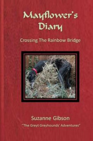 Cover of Mayflower's Diary - Crossing the Rainbow Bridge