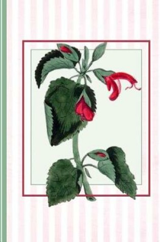 Cover of Vintage Sage Flower