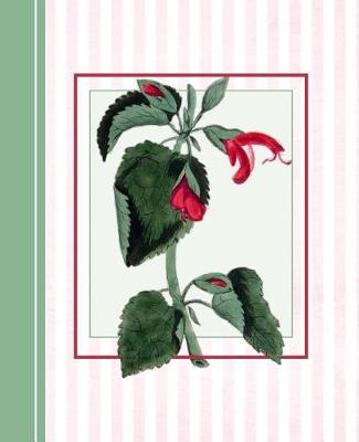 Book cover for Vintage Sage Flower