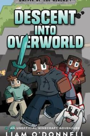 Cover of Descent into Overworld