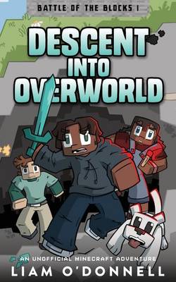 Book cover for Descent into Overworld