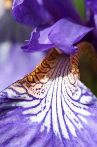 Cover of Close-Up of a Purple Iris Pseudacorus Flower Journal