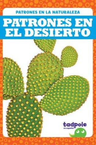 Cover of Patrones En El Desierto (Patterns in the Desert)