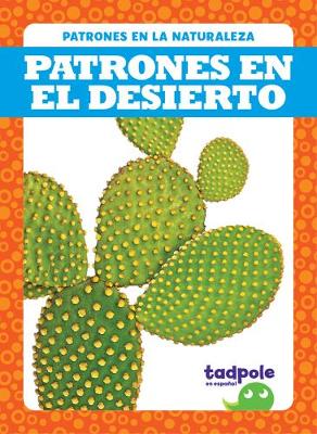 Book cover for Patrones En El Desierto (Patterns in the Desert)