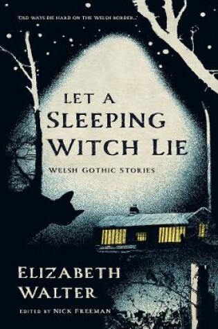 Cover of Let a Sleeping Witch Lie