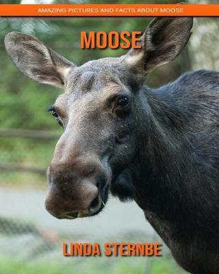 Book cover for Moose