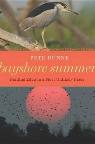 Cover of Bayshore Summer