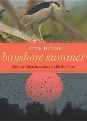 Book cover for Bayshore Summer