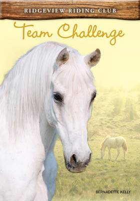 Cover of Team Challenge