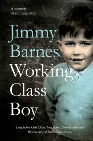 Cover of Working Class Boy
