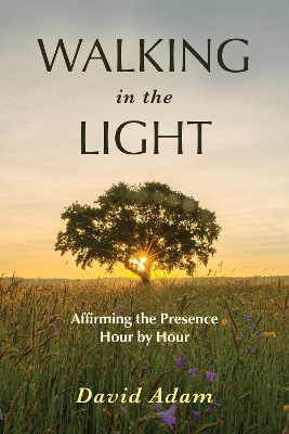 Book cover for Walking in the Light