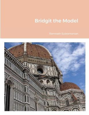 Book cover for Bridgit the Model