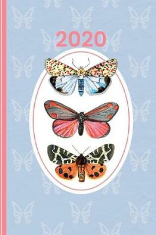 Cover of Elegant Butterflies