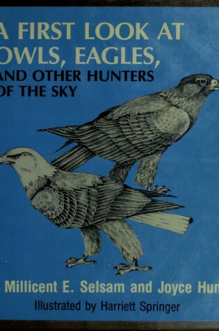 Cover of A First Look at Owls, Eagles, and Other Hunters of the Sky