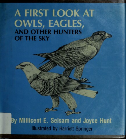 Book cover for A First Look at Owls, Eagles, and Other Hunters of the Sky