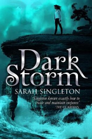 Cover of Dark Storm