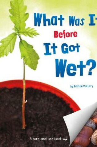 Cover of What Was It Before It Got Wet?