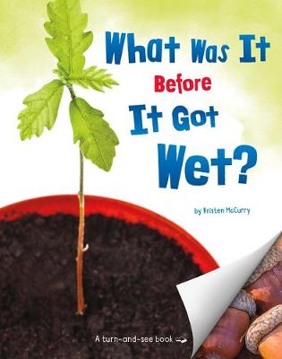 Book cover for What Was It Before It Got Wet?