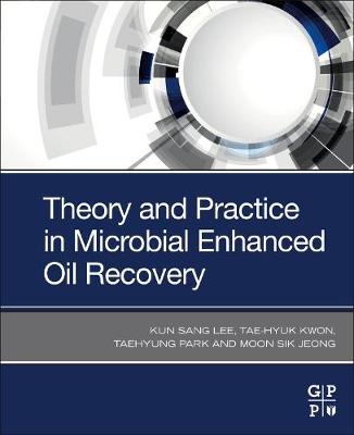 Book cover for Theory and Practice in Microbial Enhanced Oil Recovery