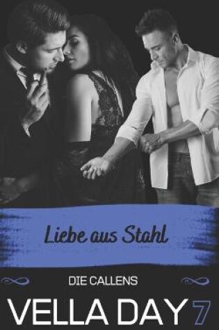 Cover of Liebe Aus Stahl