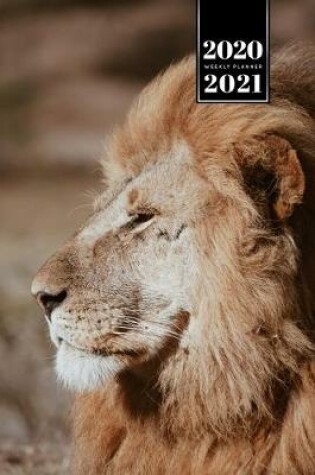 Cover of Lion Week Planner Weekly Organizer Calendar 2020 / 2021 - Tired Eyes