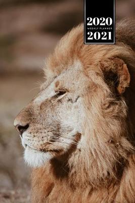 Cover of Lion Week Planner Weekly Organizer Calendar 2020 / 2021 - Tired Eyes