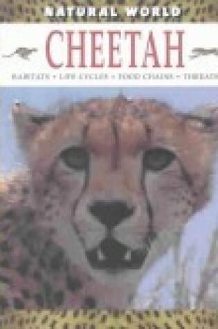 Cover of Cheetah