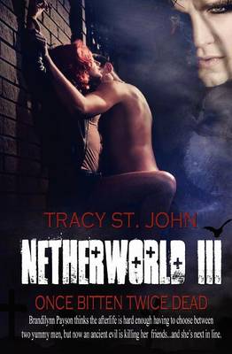 Book cover for Netherworld III
