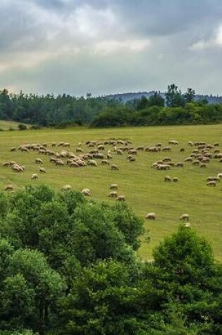 Cover of A Huge Flock of Sheep in the Countryside of Wales