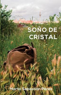 Book cover for Soño de cristal