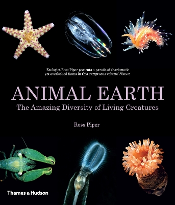 Book cover for Animal Earth
