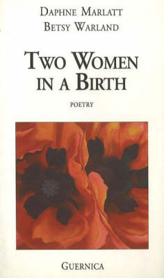 Book cover for Two Women in a Birth