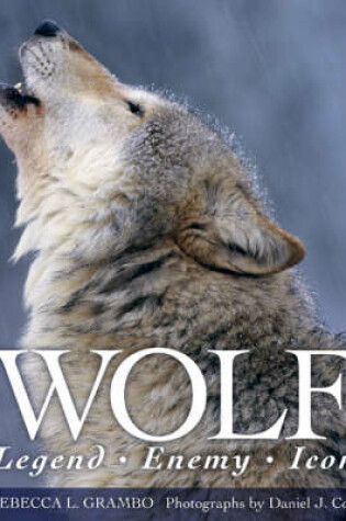 Cover of Wolf